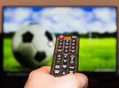 忠诚员工不,应被大量解,谢林汉姆力,PG麻将胡了app,麻将胡了在线试玩,麻将胡了,麻将胡了官方网站