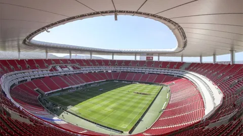 探寻米塔：非凡魅力背后的独特奥秘