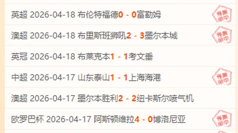 “2025海淀学院路羽毛球赛事盛启，点燃创新激情”